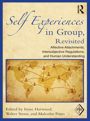 cover image of Self Experiences in Group, Revisited